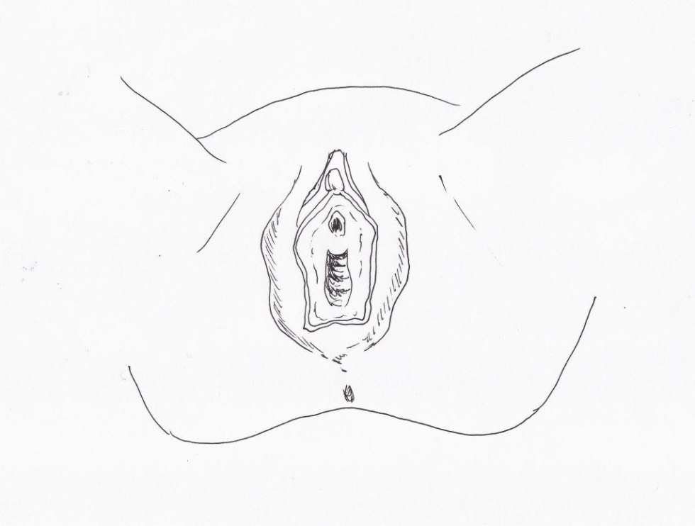 Women's crotch is schematically