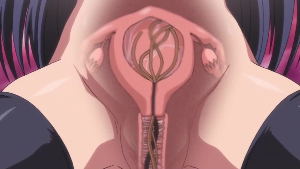 Inside the vagina of anime