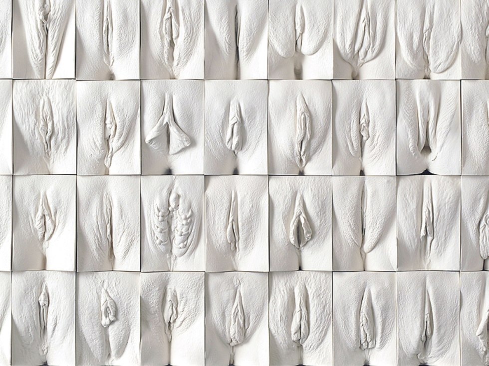 Vagin wall Jamie McCartney