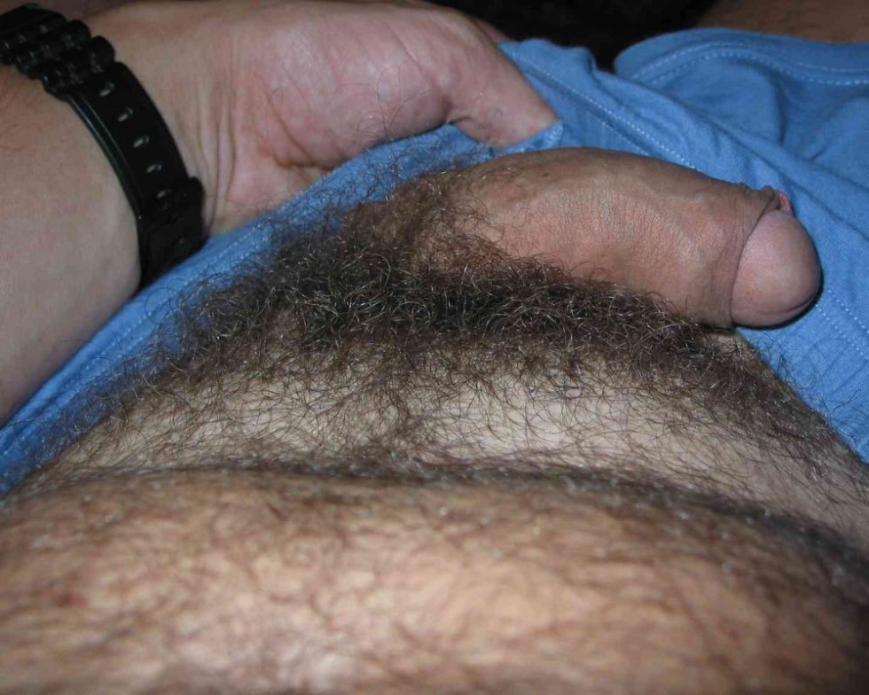 Hairy male pubis