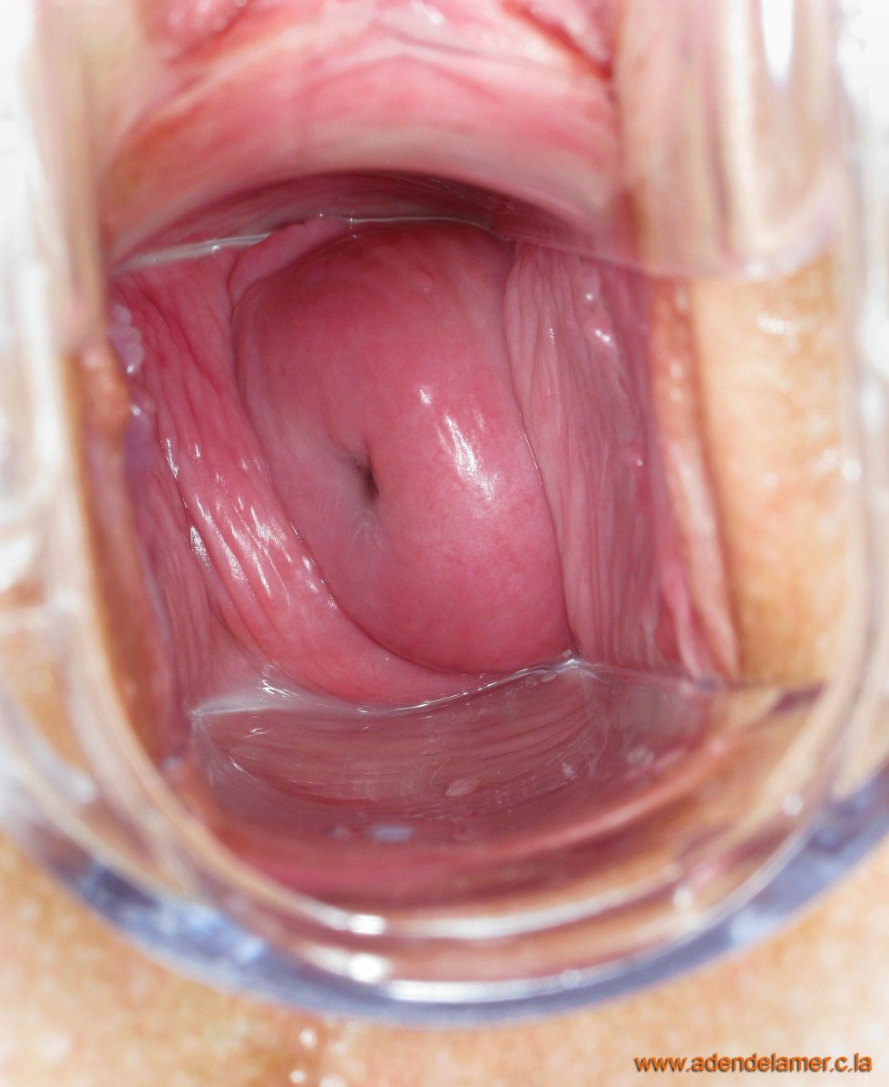 Healthy vagina from the inside