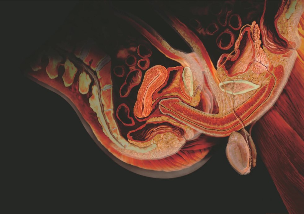 Beautiful female genitals