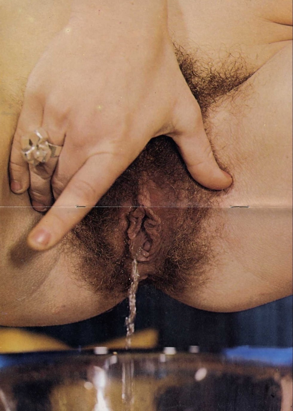 Retro hairy cums