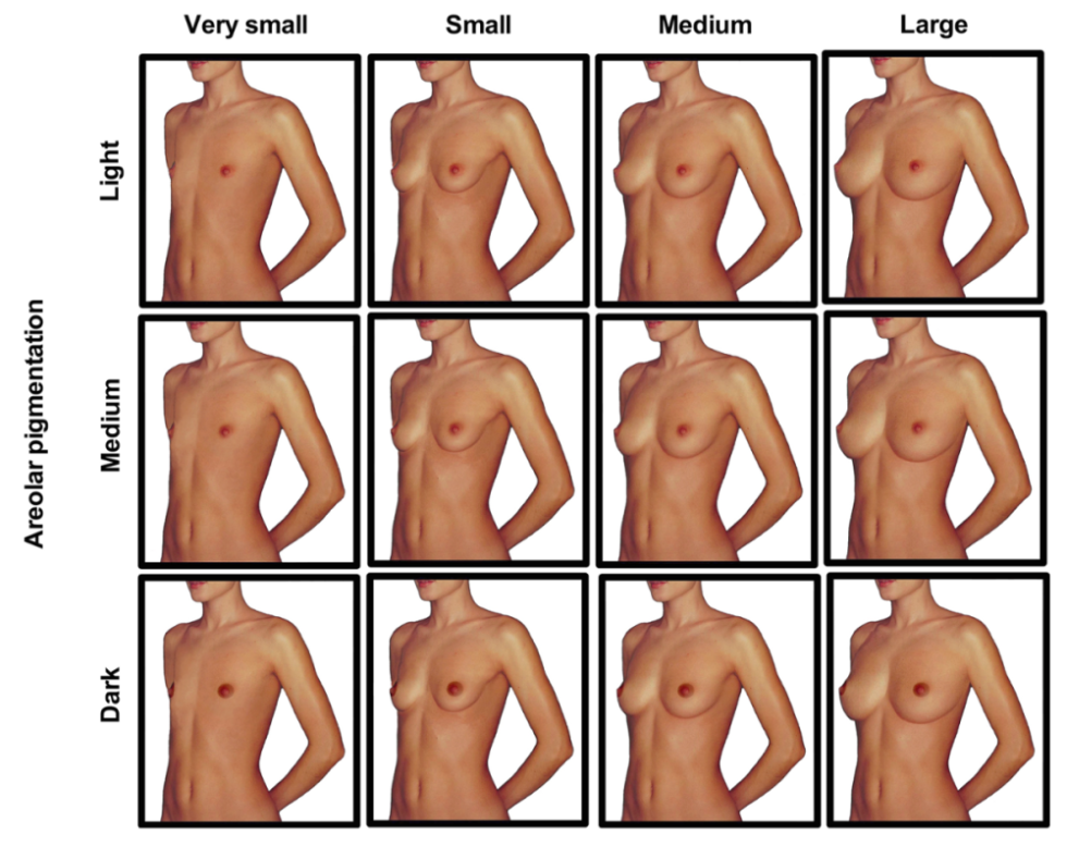 Naked chest of all sizes