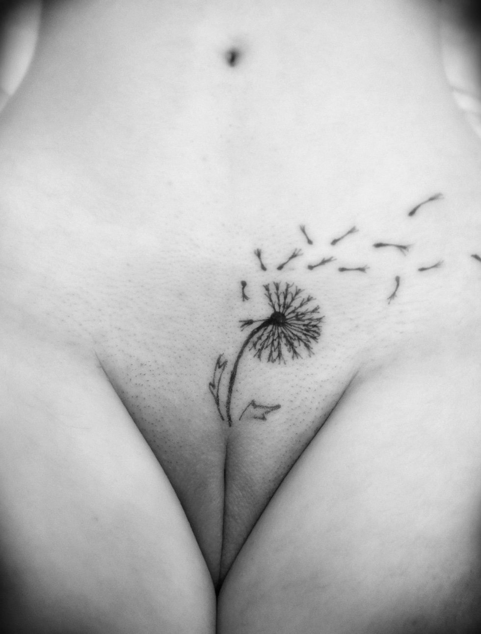 Tattoos on female pubis