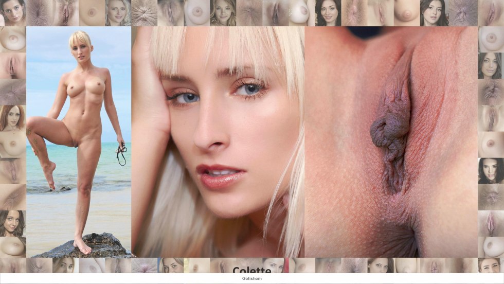 Faces and vaginas of pornses