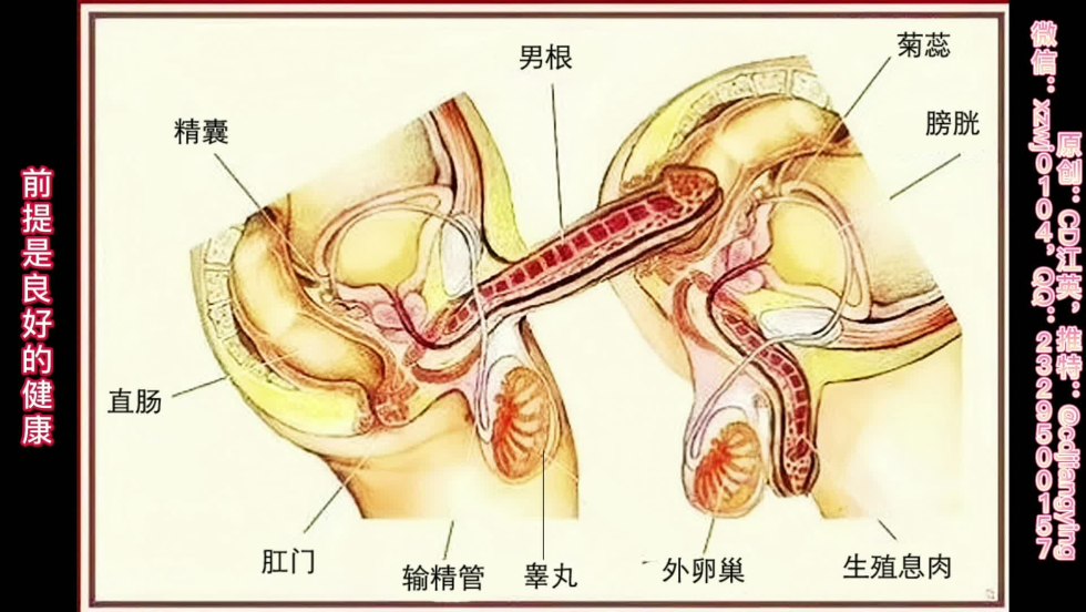 Anal sexual intercourse in the context