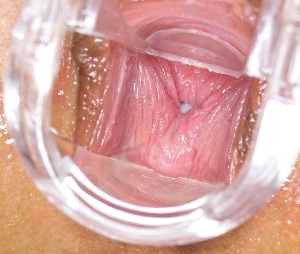 Women's vagina from the inside