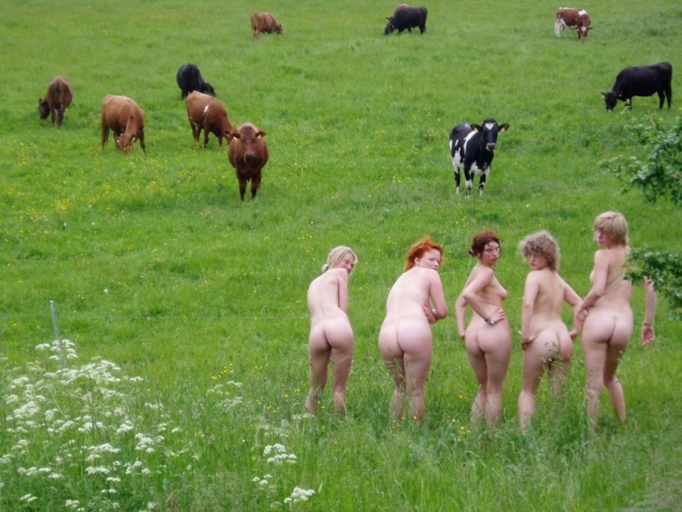 Naked village cows