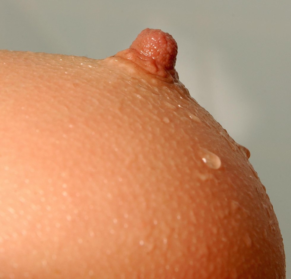 Close -up women's nipples