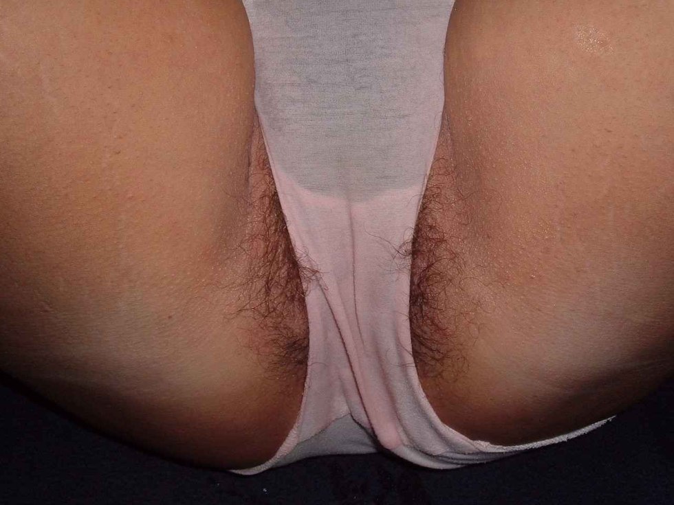 Hairy pussy in panties