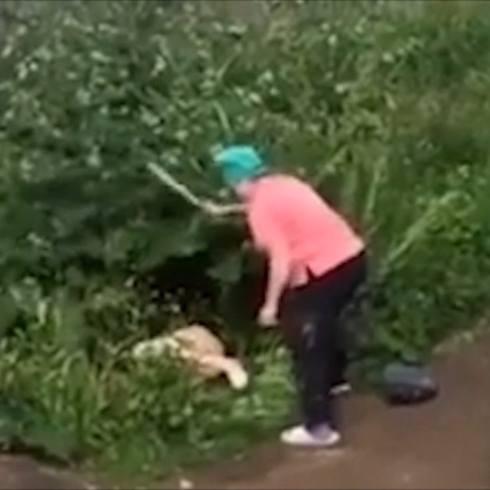 A guy with a girl in the bushes