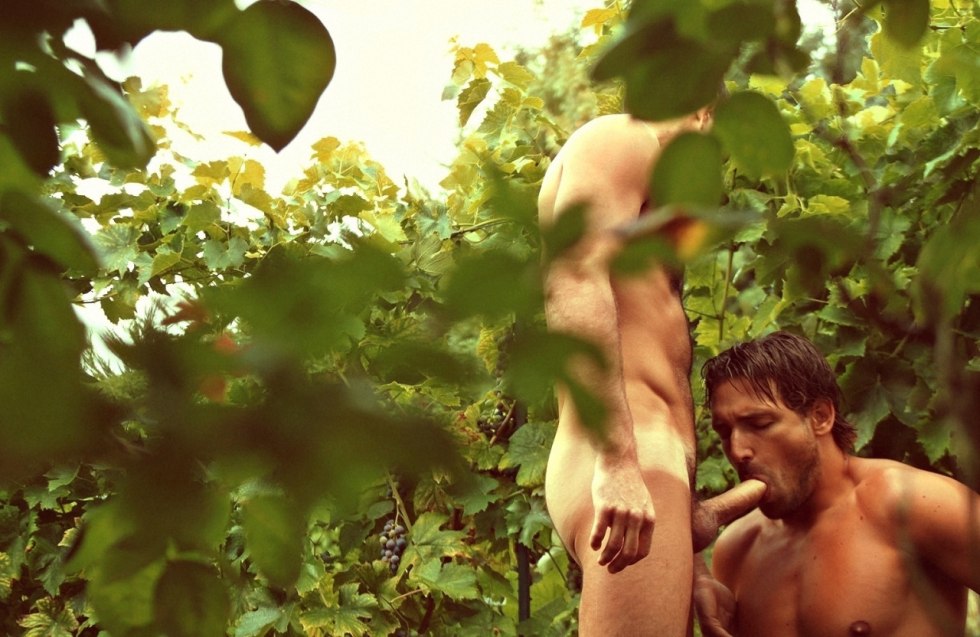 Naked guys exhibitionists in nature