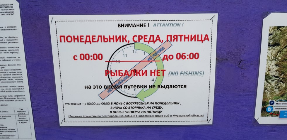 License for fish in the Murmansk region photo