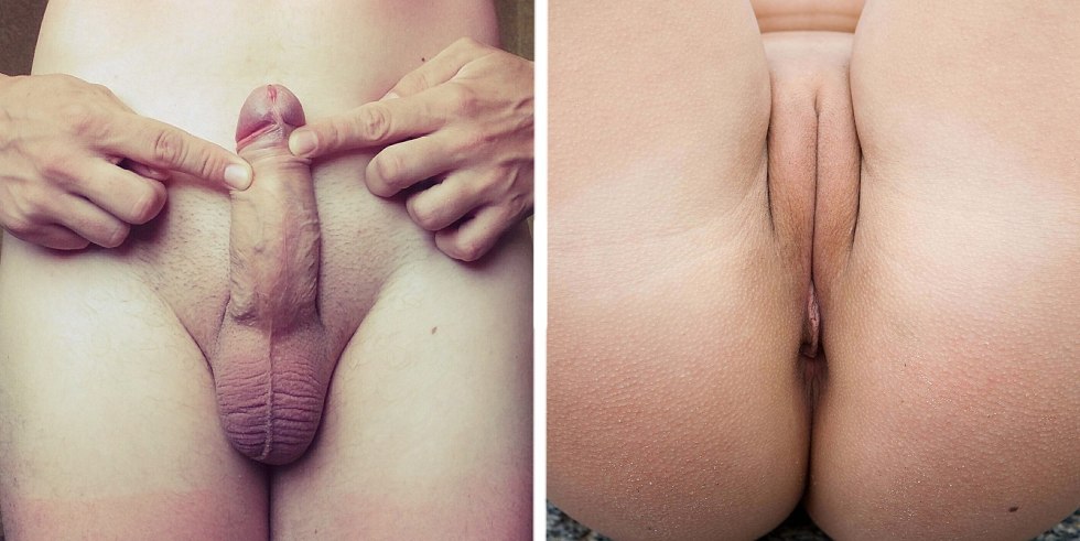 Male and female genitals