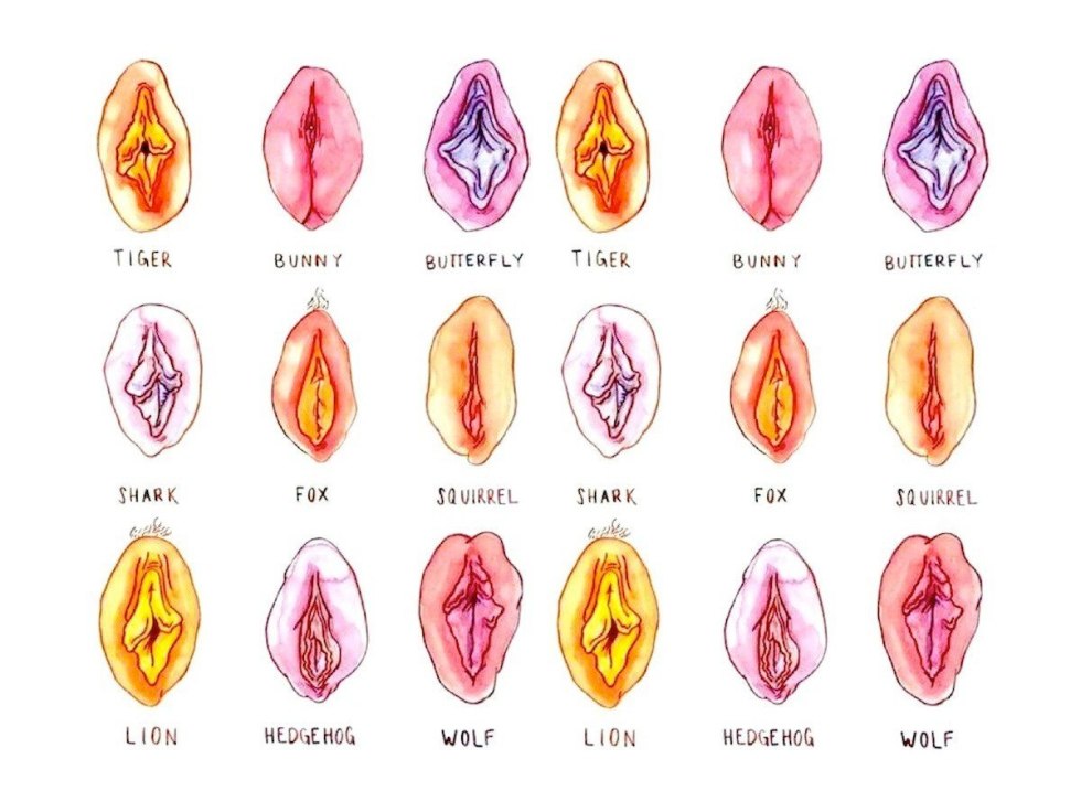 Varieties of vagina