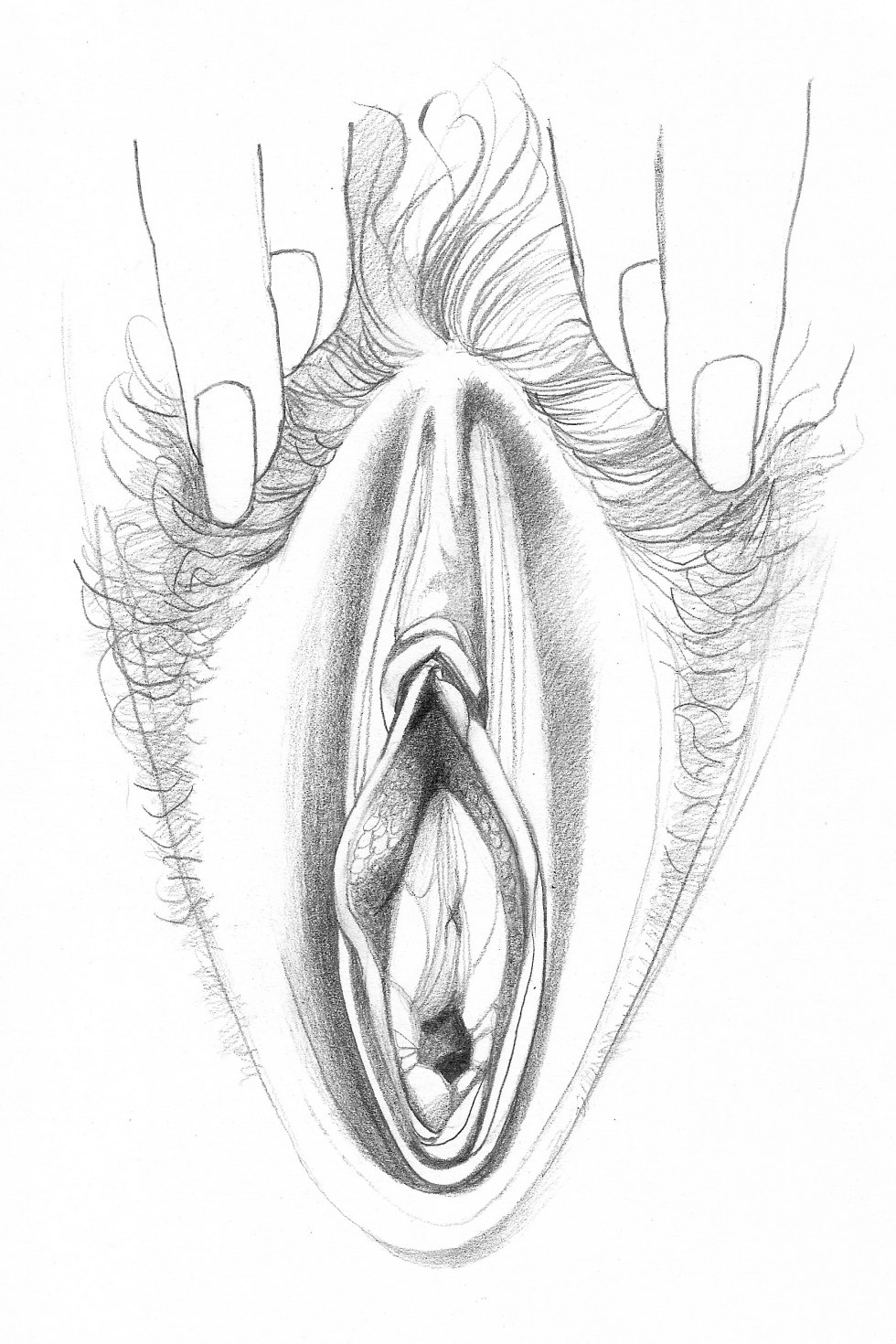 The structure of the female vagina