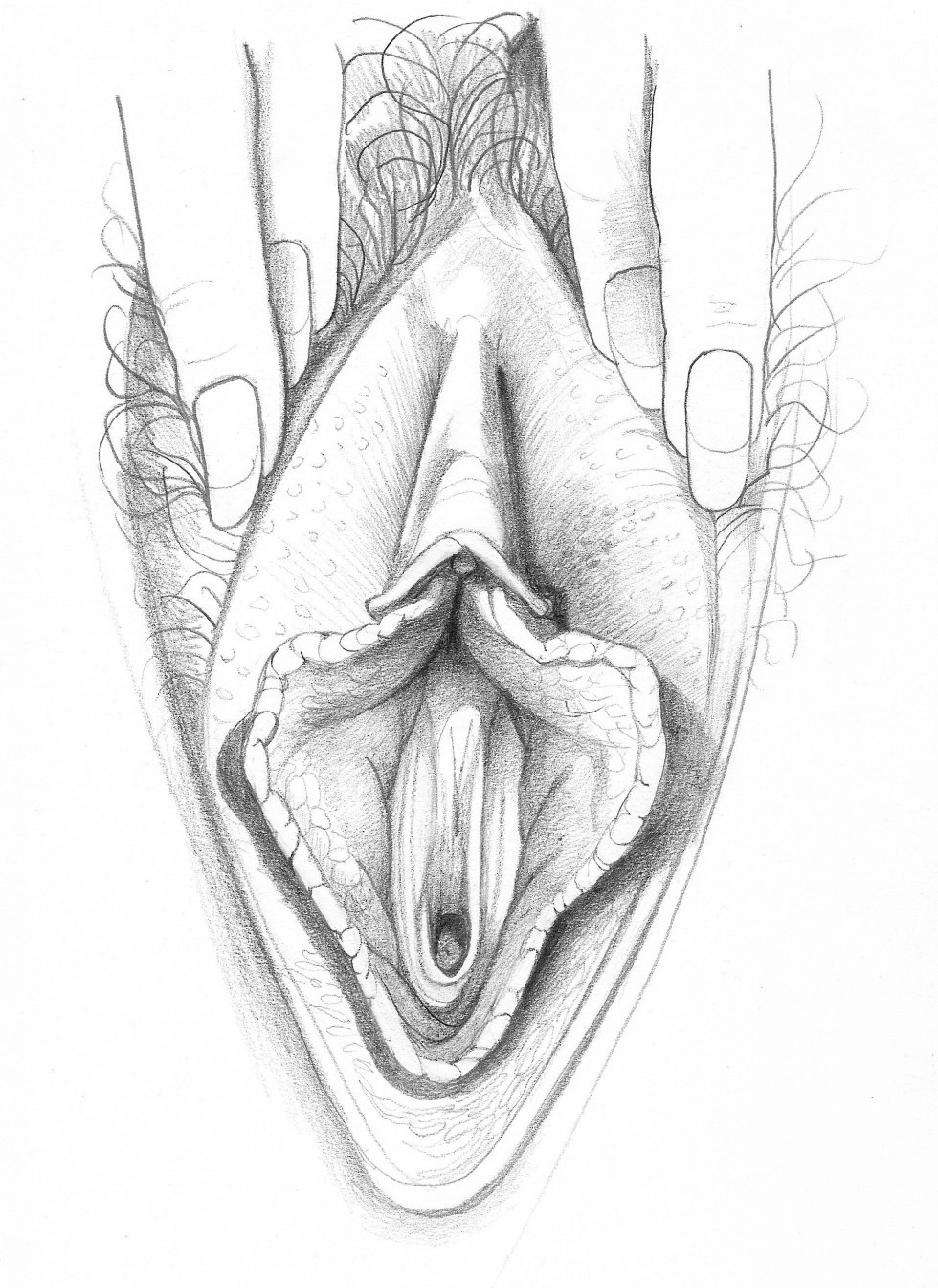 Women's vagina drawing