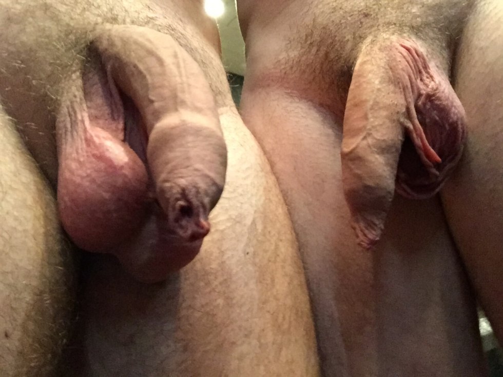 Large penis with foreskin