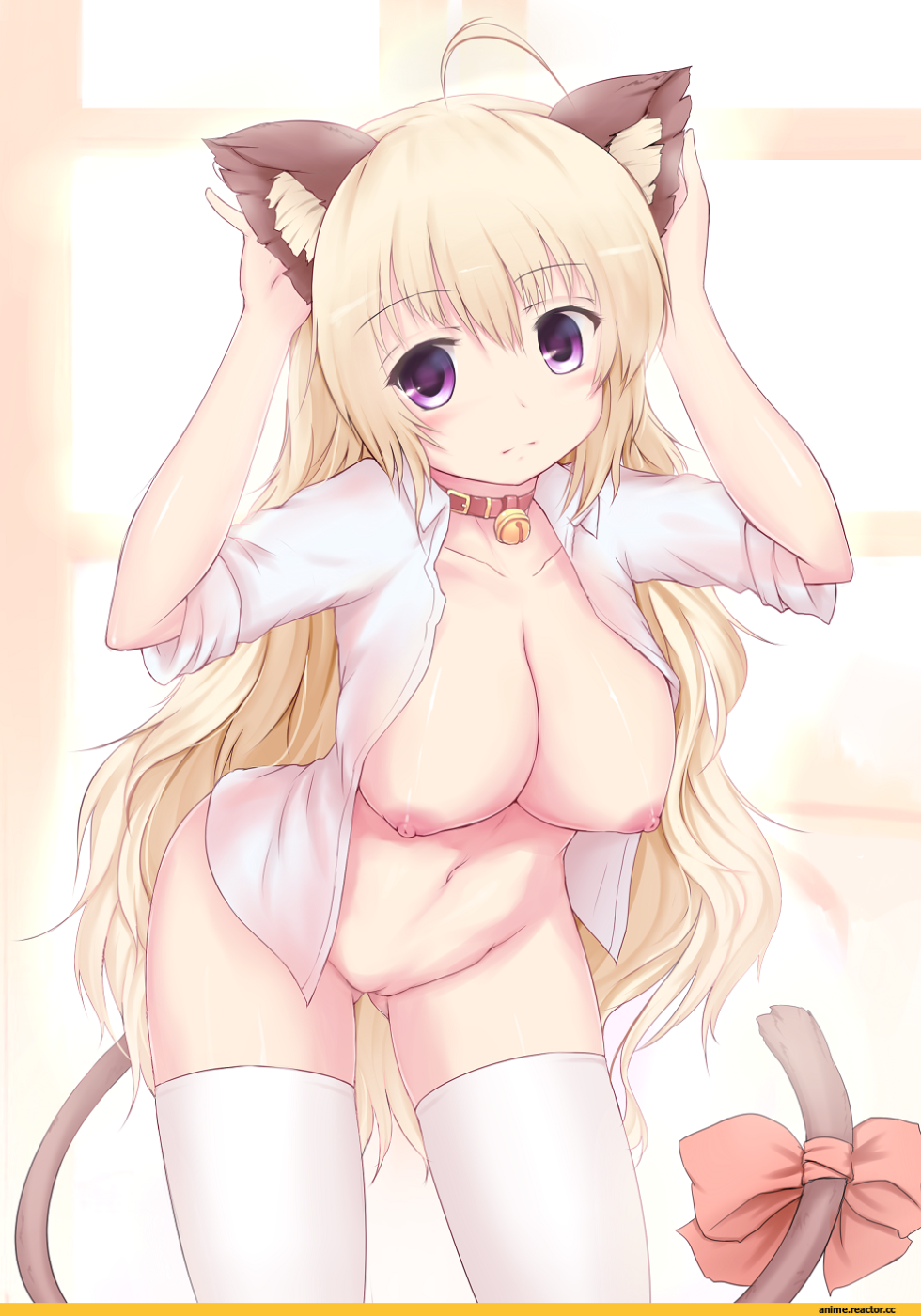 Hentai Girls with cat ears