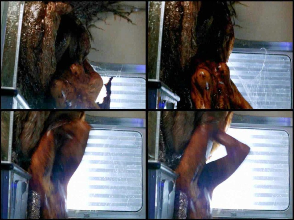 Free photo Natasha Henstridge Fake