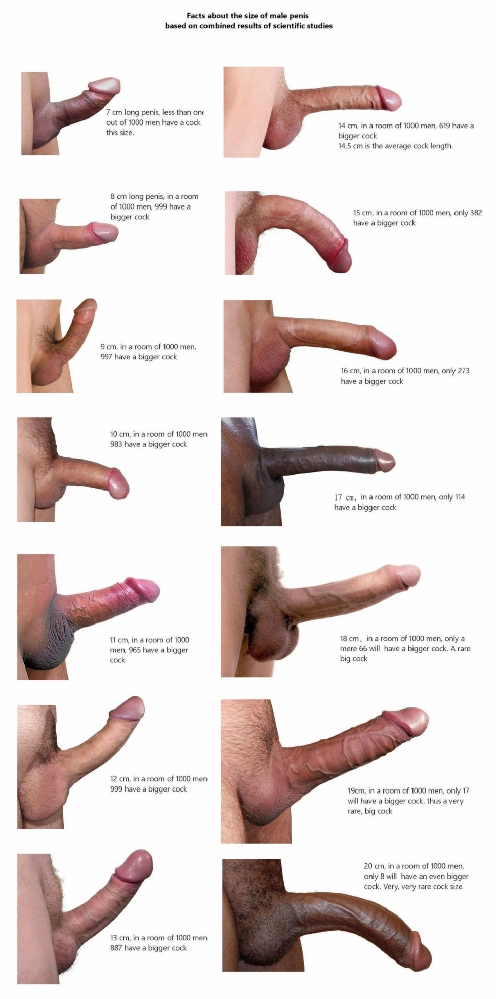 Different forms of male penis