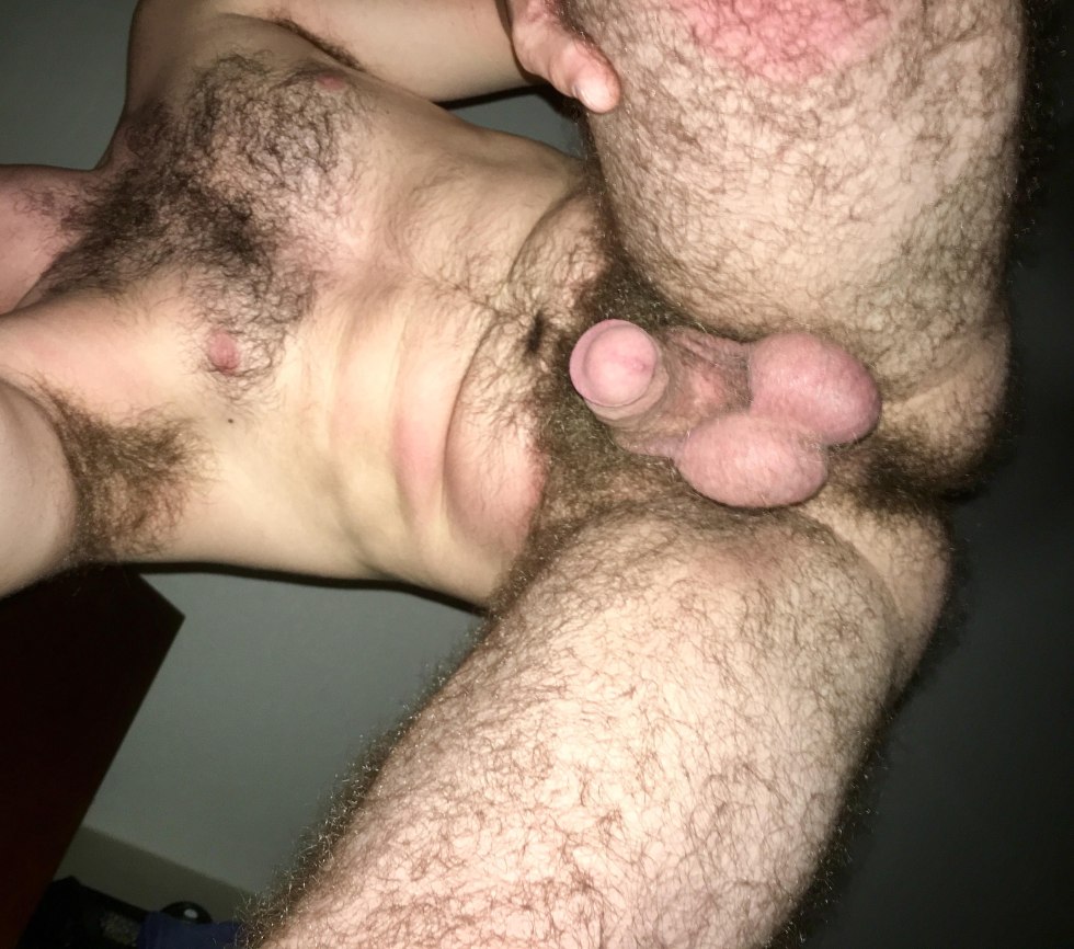 Hairy Pubes Unshaved Penis Balls Dicks Cock