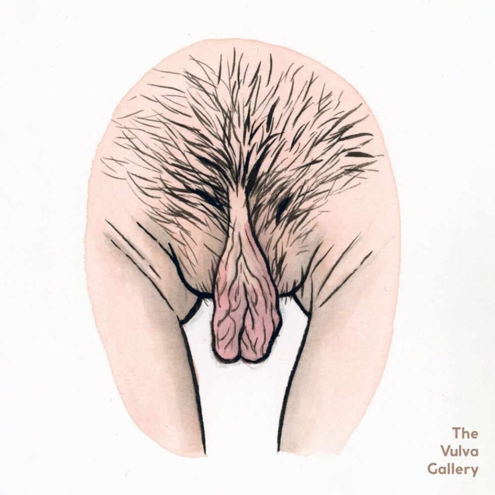 Varieties of female vagina