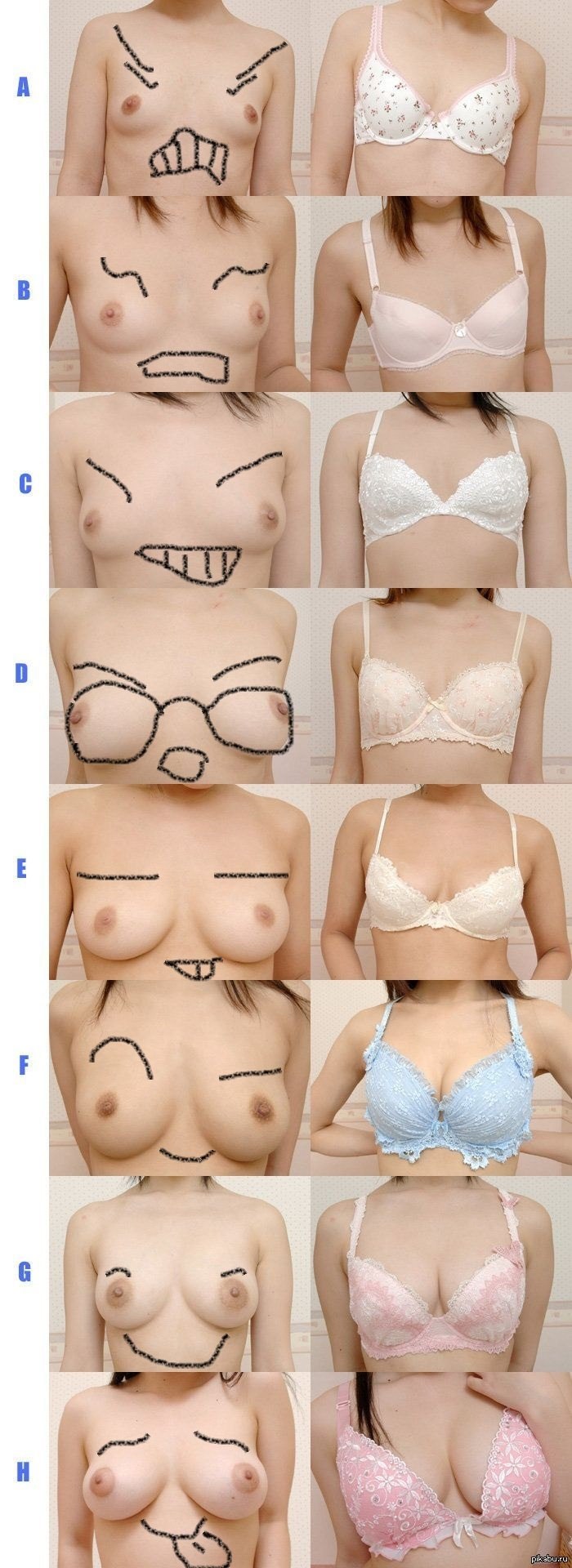 Female breasts of different sizes