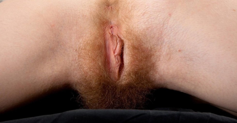 Not a shaved female pubis