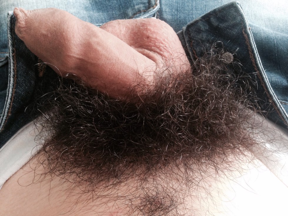 Hairy male pubis