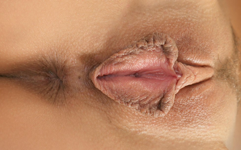 Porn actresses with large labia