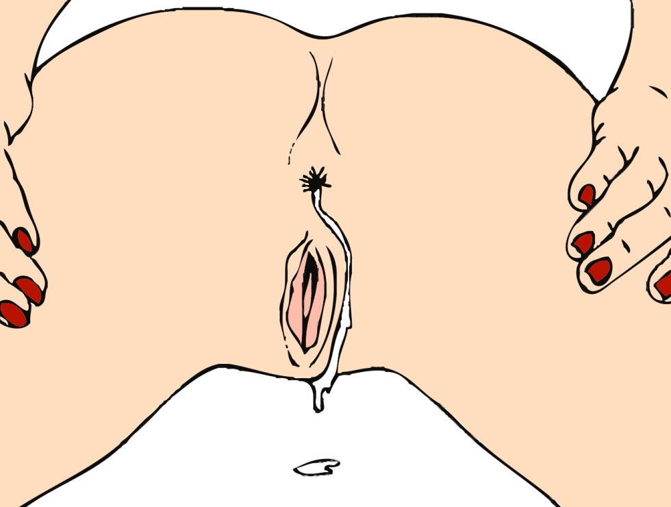 Stylized images of the vagina