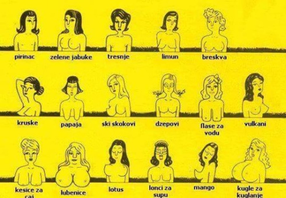 Types of forms of female breast