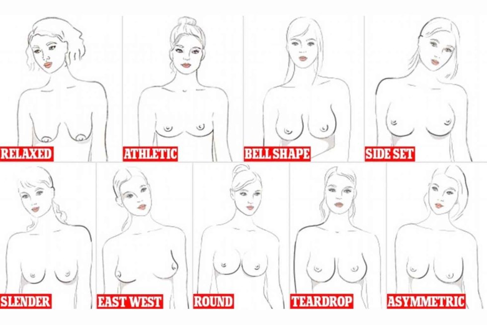 Forms of naked female breast