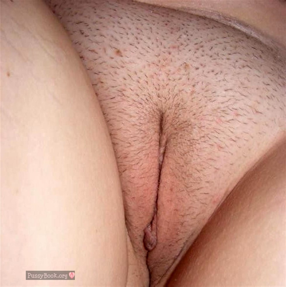 Shaved pubis close -up