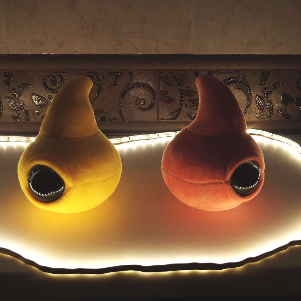 SCP Capleglaziki fund