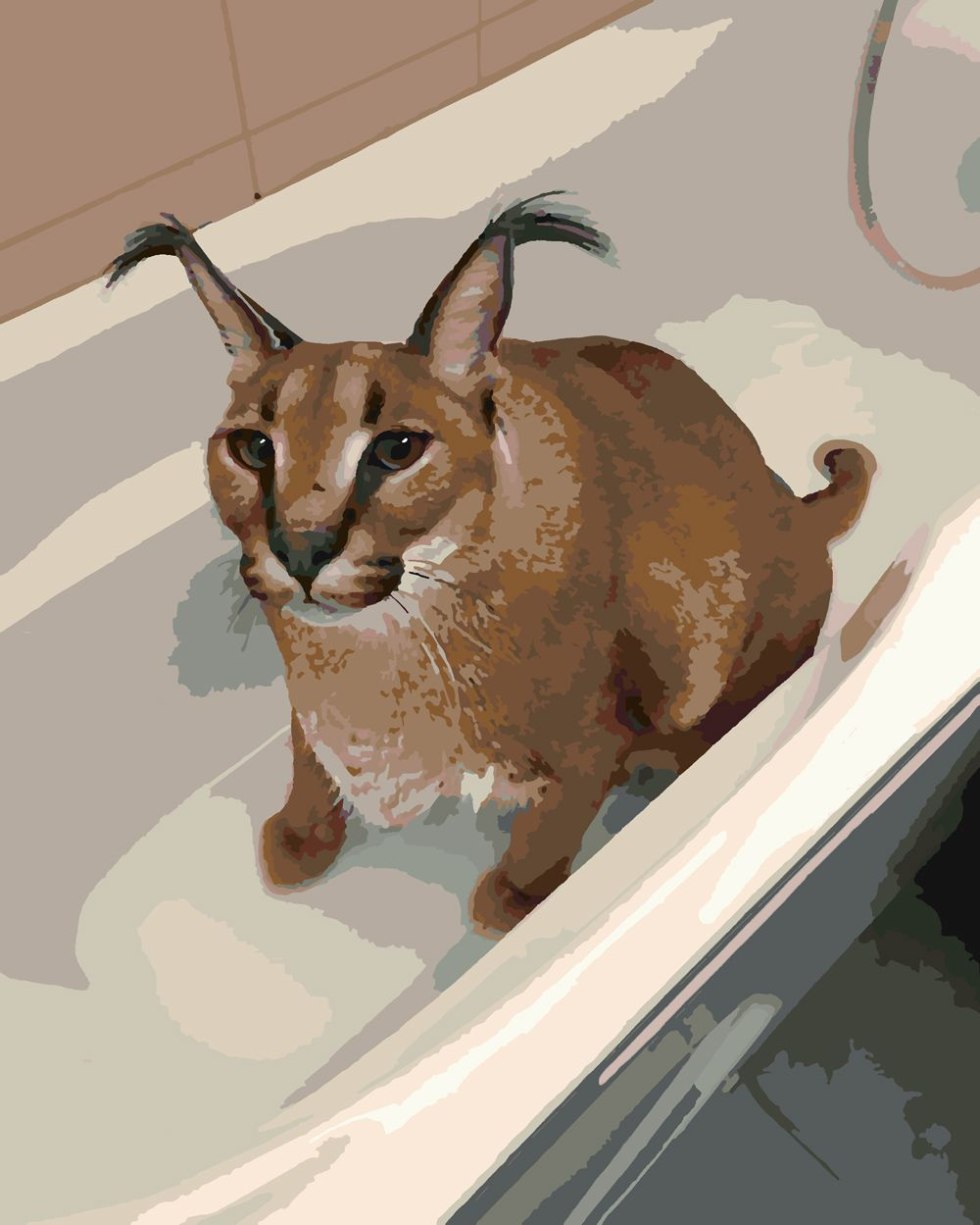 Shlepa karakal in the bath