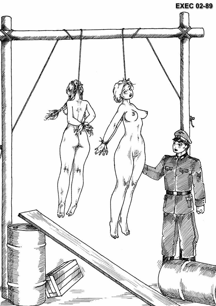 Erotic hanging
