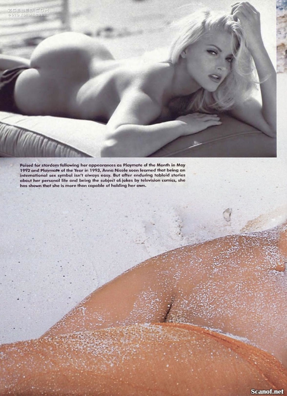 Anna Nicole Smith Tits
