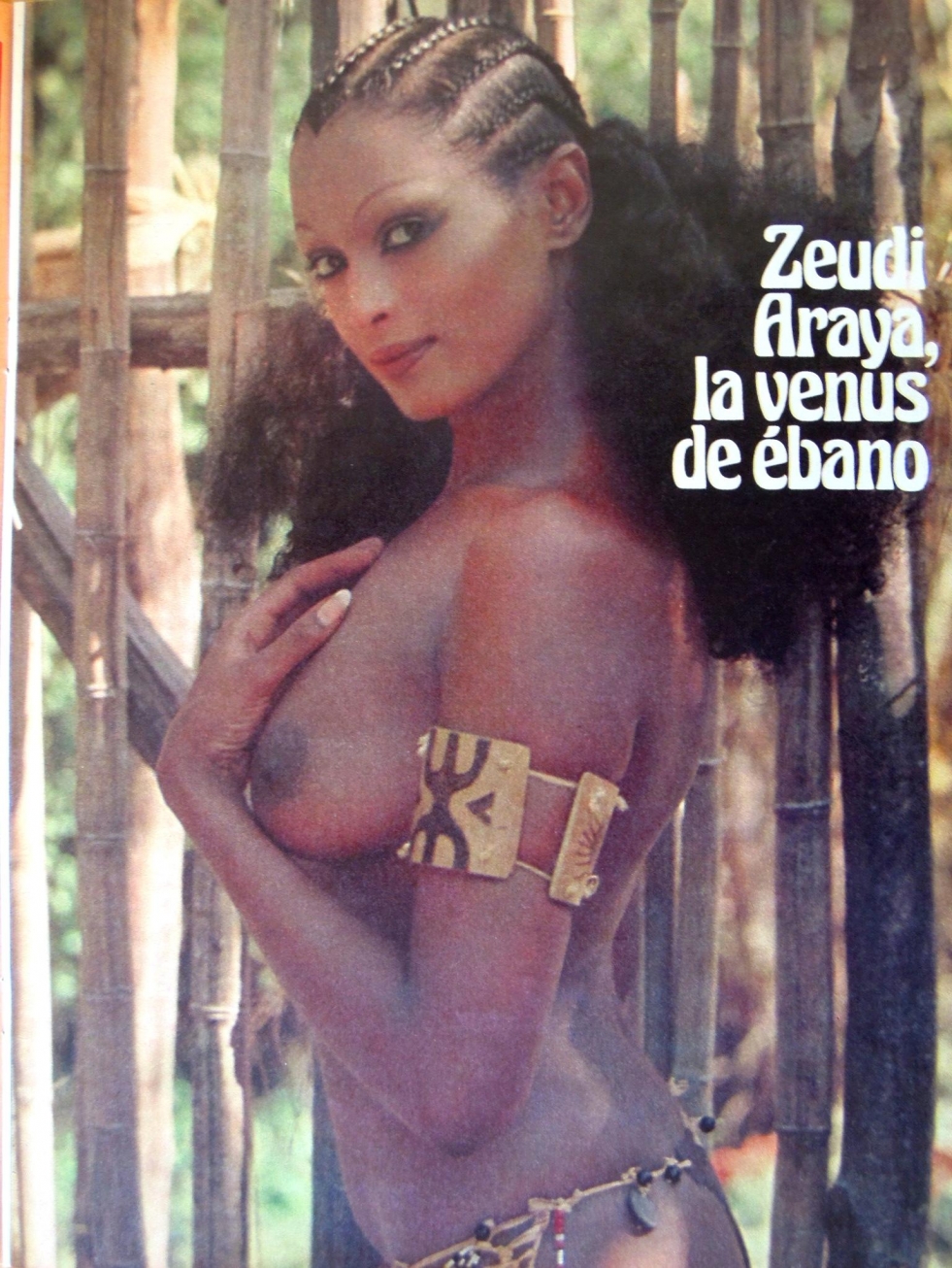 Zeudi Araya Cristodi Playboy