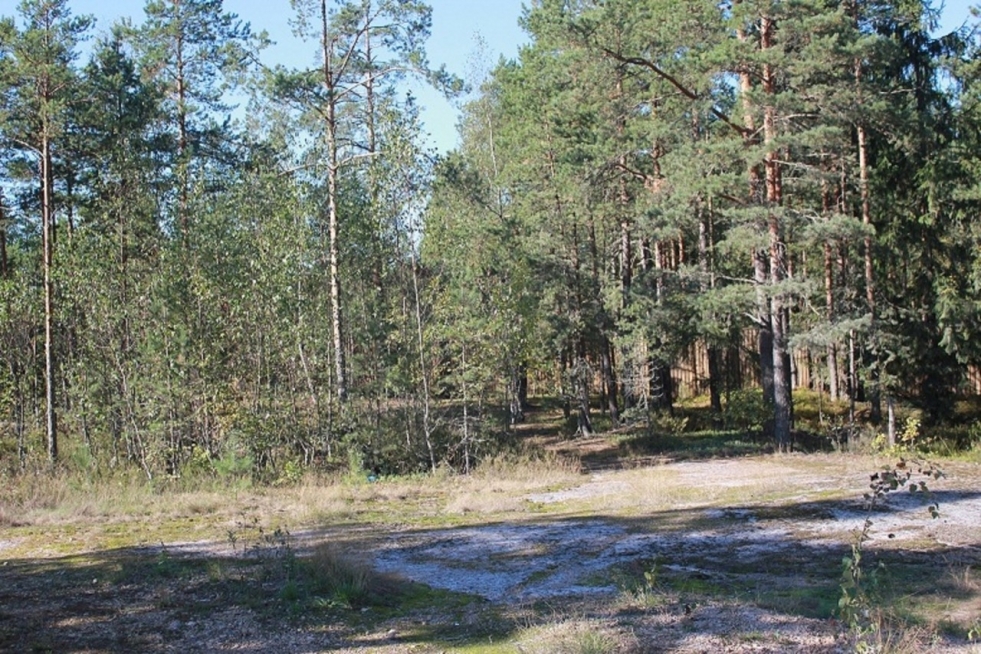 Village Key Vyborg district