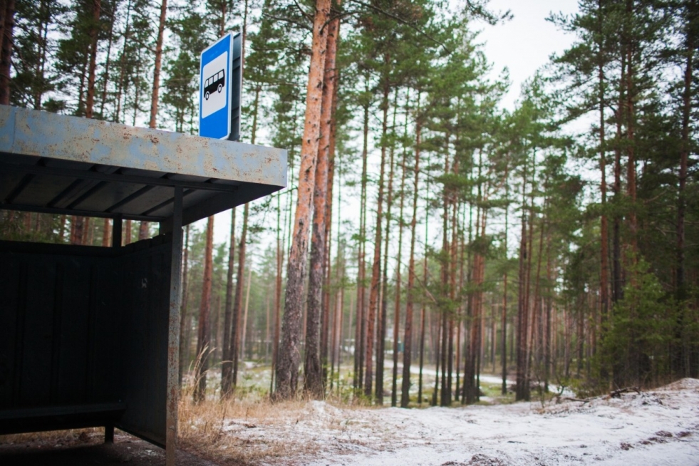 Western regions of the Leningrad region