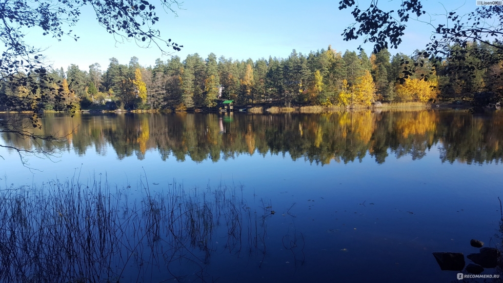 Lake Mirror Leningrad Region