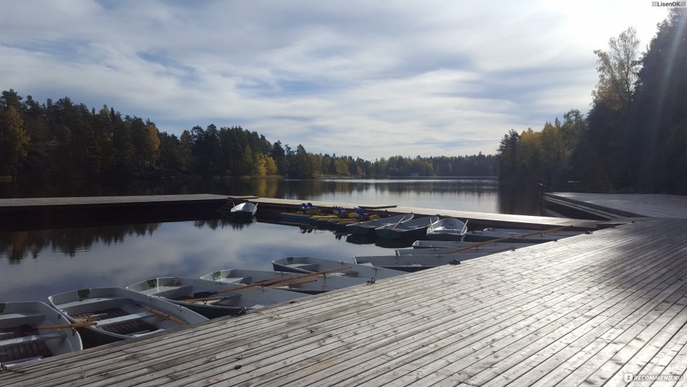 Gardening Sampo Vyborsky district of the Leningrad region