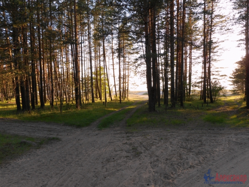 Guards Recreation of Iloranste