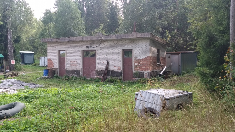 Swan Lake Leningrad Region Lebedevka