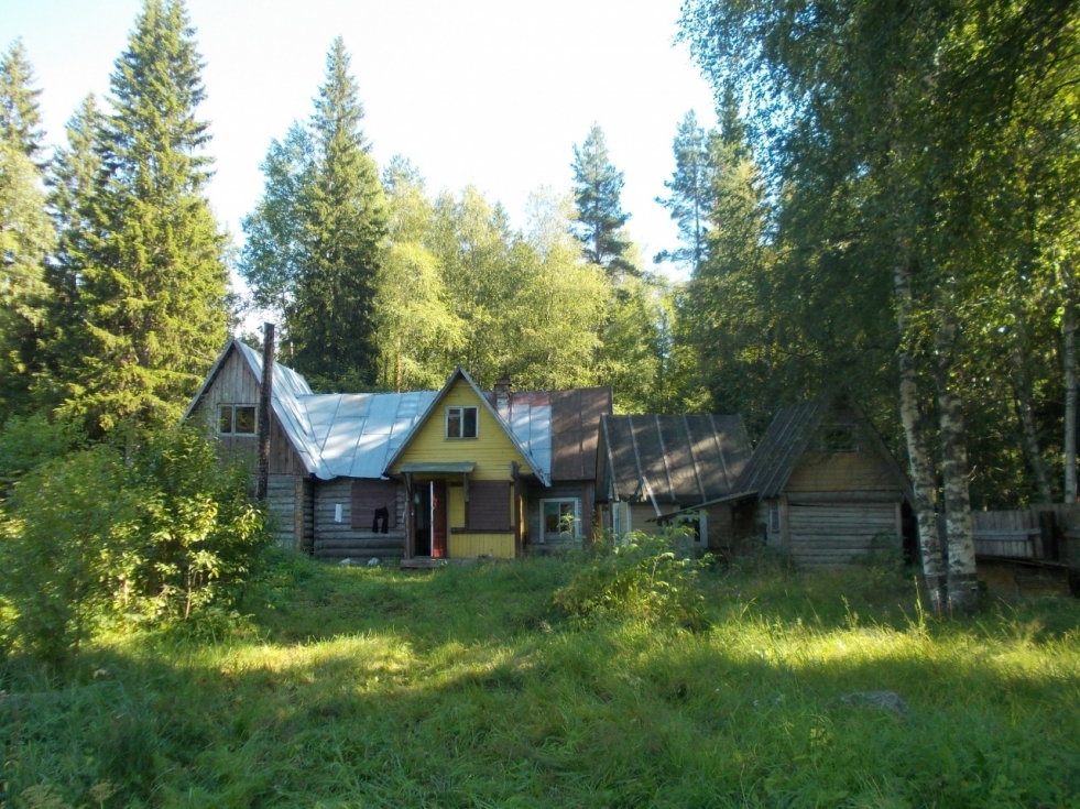 47 News Leningrad Region