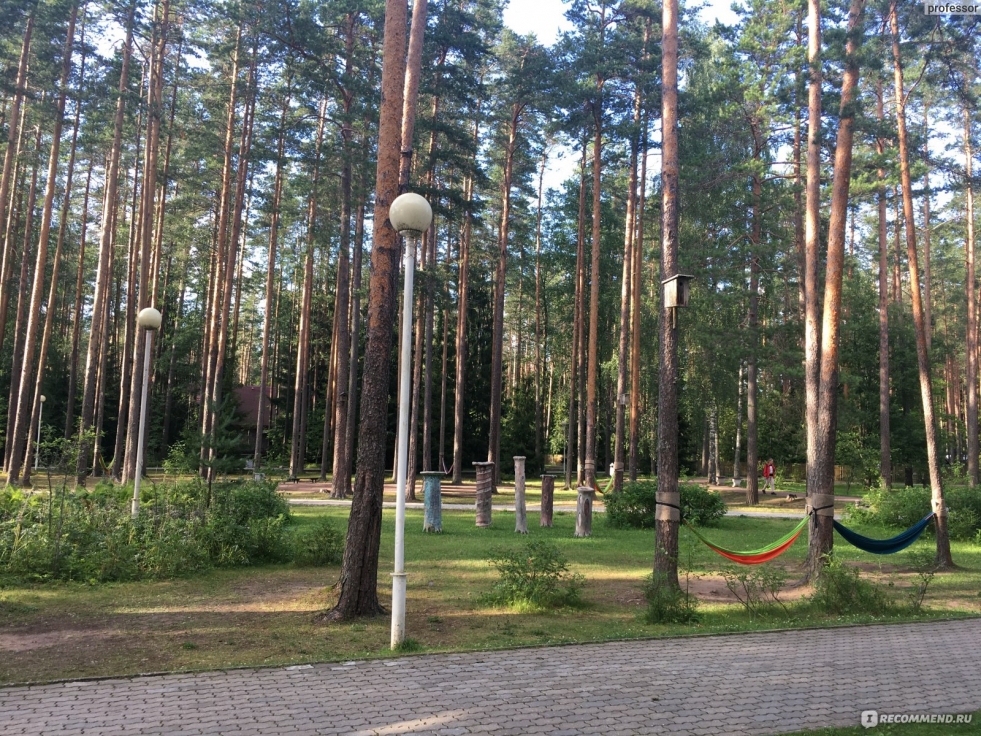 Village Vysotsk Leningrad Region