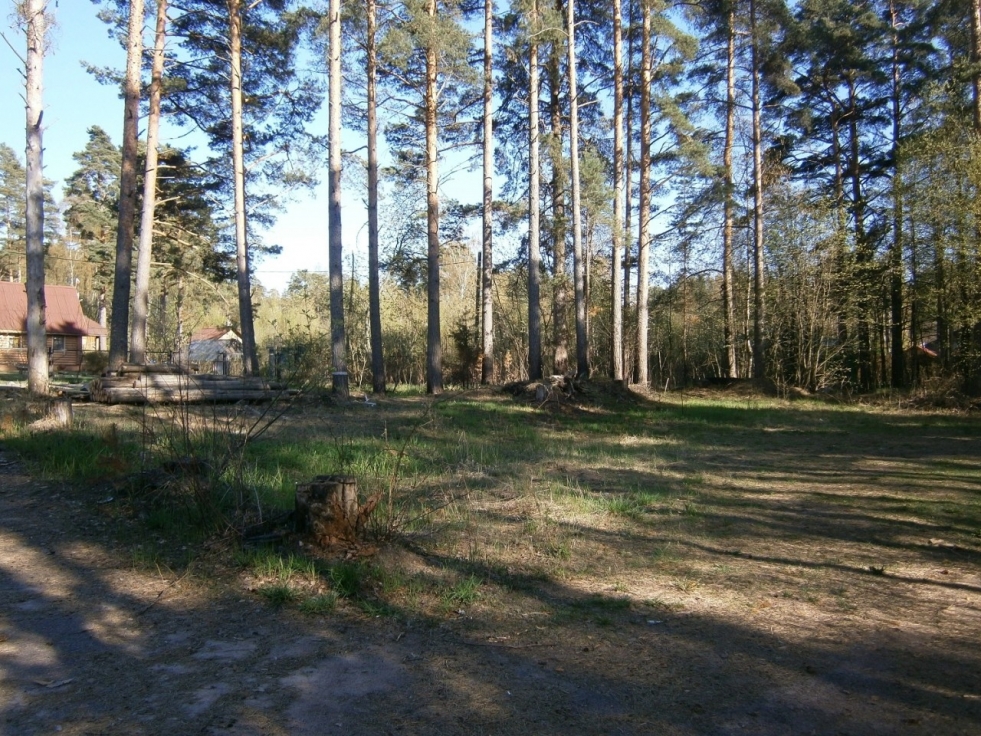 The building of the administration of the Vyborg district of the Leningrad region